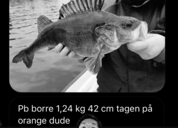BABY DUDE - ONYTTIG. 8CM - Bild 5