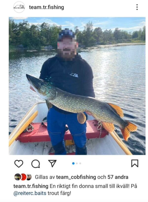 The Dude - Albinoöring - Bild 3